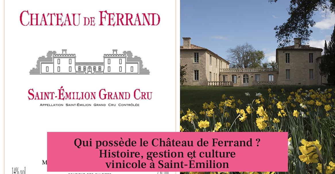 Qui possède le Château de Ferrand ? Histoire, gestion et culture vinicole à Saint-Émilion