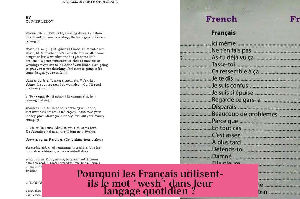 Pourquoi les Français utilisent-ils le mot "wesh" dans leur langage quotidien ?