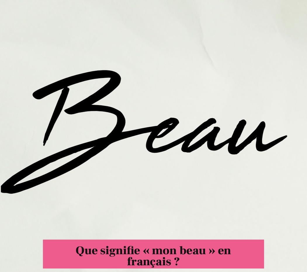 Que signifie « mon beau » en français ?
