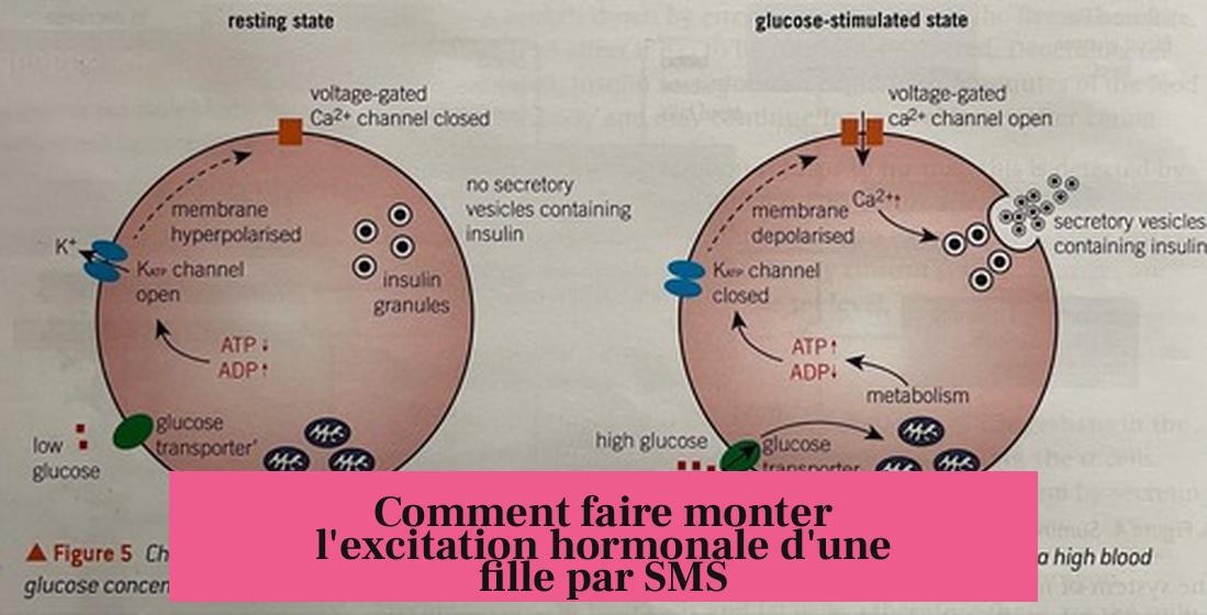 Comment faire monter l'excitation hormonale d'une fille par SMS
