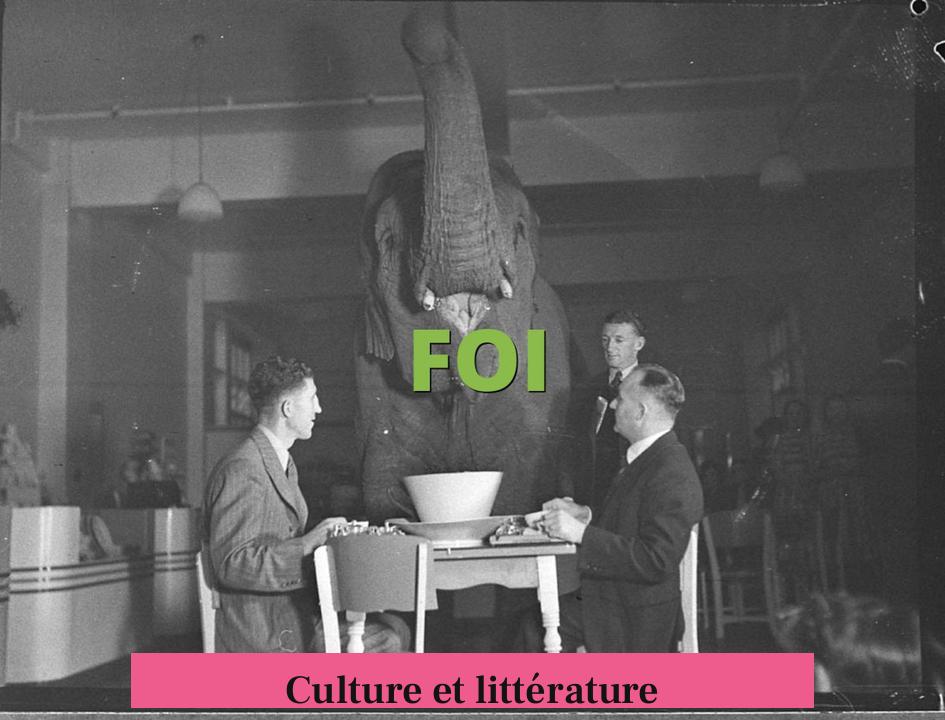 Culture et littérature