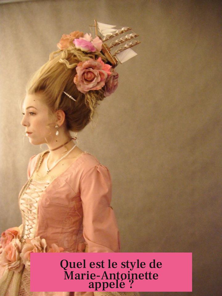 Quel est le style de Marie-Antoinette appelé ?
