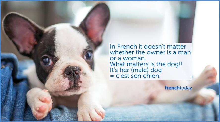 3. Nuances et variations : sachez lire entre les mots