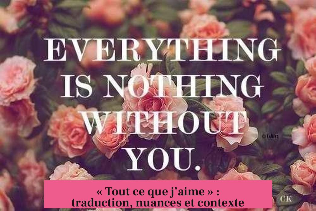 « Tout ce que j’aime » : traduction, nuances et contexte