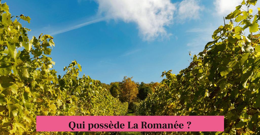 Qui possède La Romanée ?