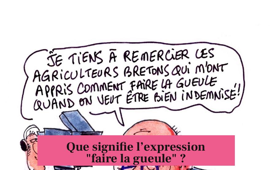 Que signifie l’expression "faire la gueule" ?