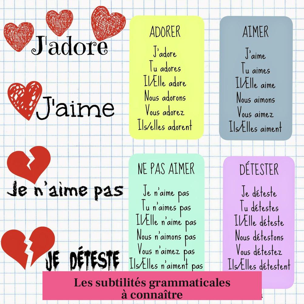Les subtilités grammaticales à connaître