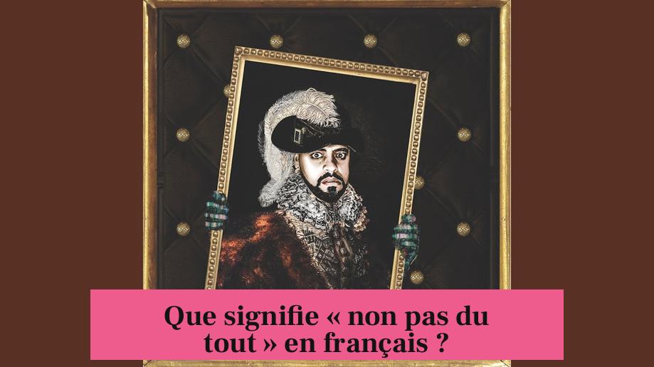 Que signifie « non pas du tout » en français ?