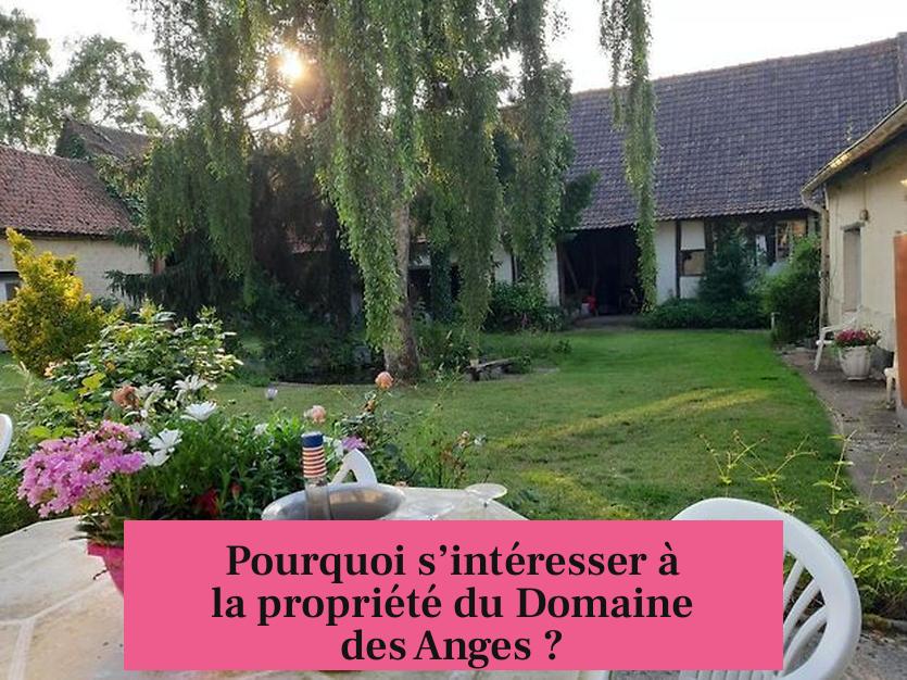 Pourquoi s’intéresser à la propriété du Domaine des Anges ?