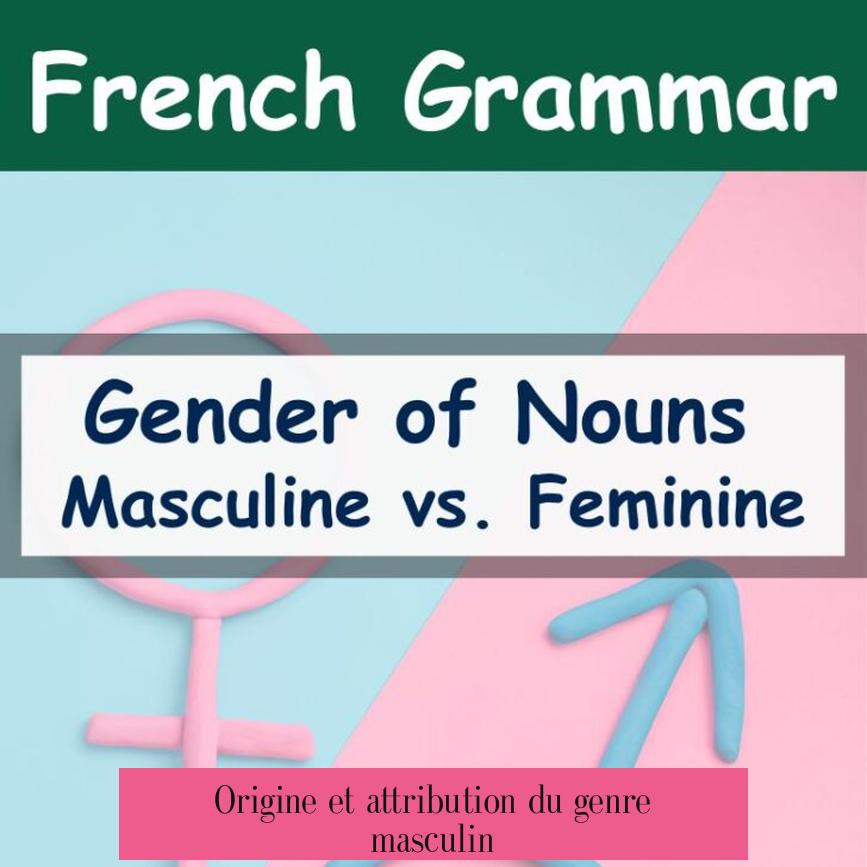 Origine et attribution du genre masculin