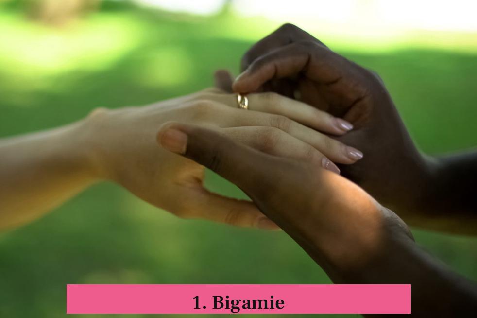 1. Bigamie