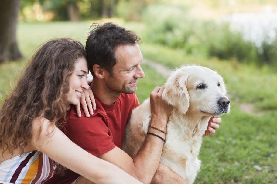Il est possible de sauver un mariage même lorsqu'il paraît voué à l'échec.Cela requiert une évaluation honnête, un engagement mutuel au changement, et souvent, un accompagnement professionnel. La prise de conscience, la communication et des stratégies concrètes jouent un rôle clé pour raviver la relation.