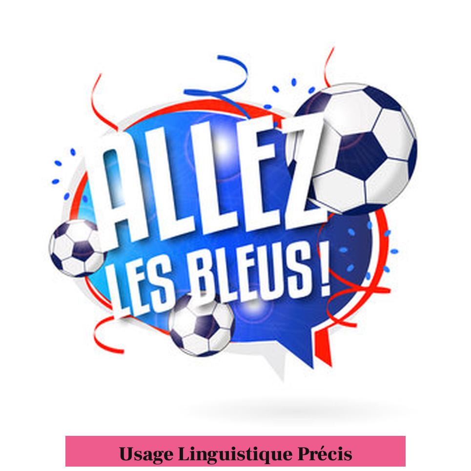 Usage Linguistique Précis