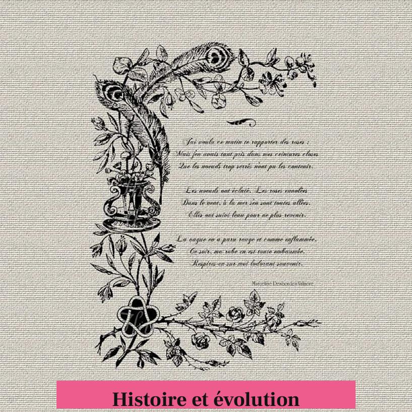 Histoire et évolution