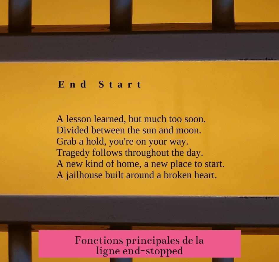 Fonctions principales de la ligne end-stopped
