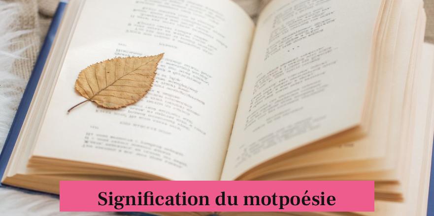 Signification du motpoésie