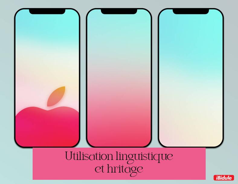 Utilisation linguistique et héritage