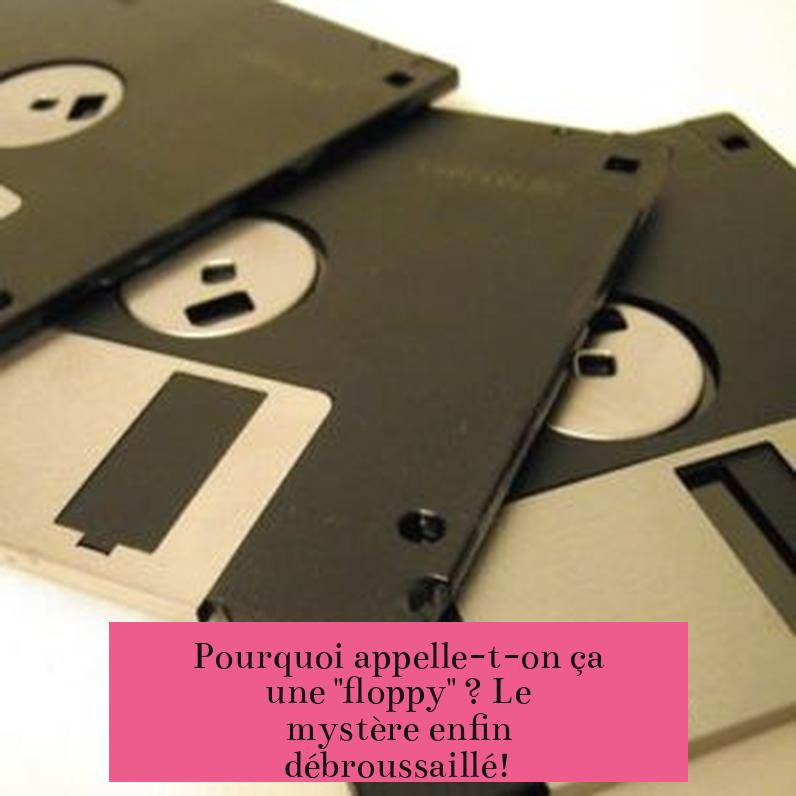 Pourquoi appelle-t-on ça une "floppy" ? Le mystère enfin débroussaillé!