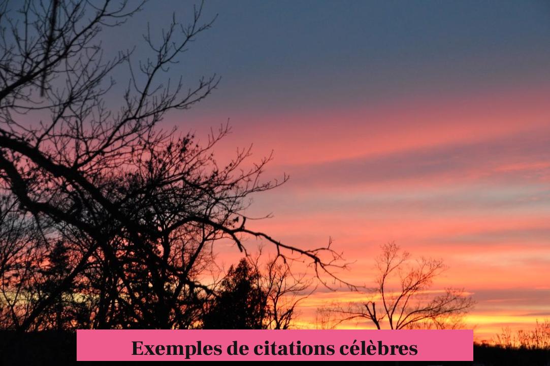 Exemples de citations célèbres