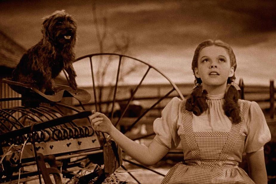 Pourquoi Toto reste un personnage inoubliable ?