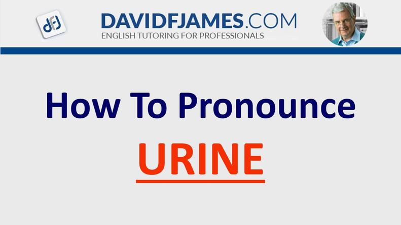 Oui, vous ne rêvez pas ! Que vous soyez à Londres ou à New York,“pee” se prononce de la même façon. La phonétique précise : le son /p/ comme dans “pen”, suivi par le son long /iː/ comme dans “sheep”. Simple et efficace. Pas besoin de sortir la panoplie des accents. C’est un peu comme dire “p”.