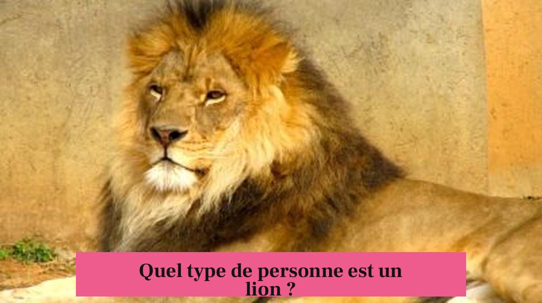 Quel type de personne est un lion ?