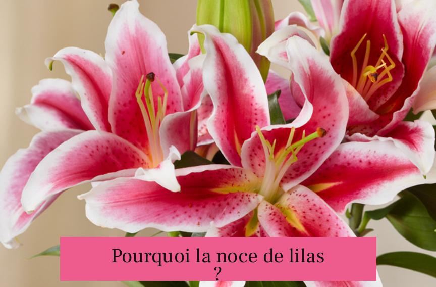Pourquoi la noce de lilas ?