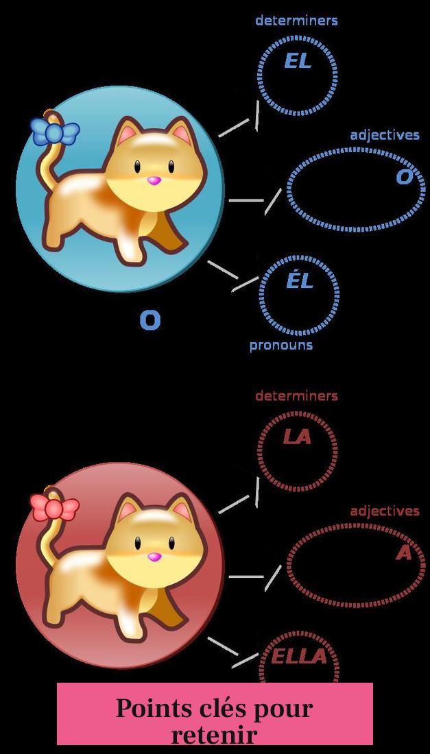 Points clés pour retenir