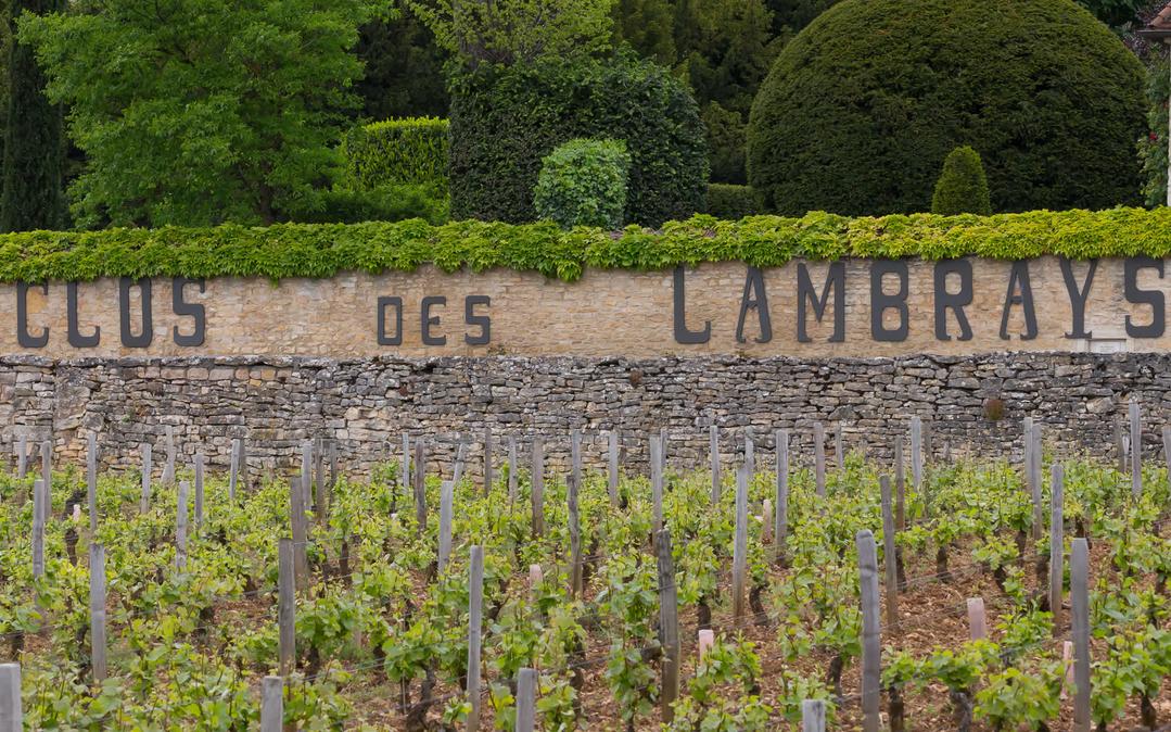 La grande révolution française, elle, changera la donne. Le domaine, autrefois uni, fut découpé en pas moins de 75 parcelles, vendues à différents propriétaires. Un beau casse-tête pour les générations suivantes qui ont dû racheter, recomposer et reconstituer ce puzzle viticole, bien plus ardu que de jouer au Monopoly croisé avec du Scrabble.