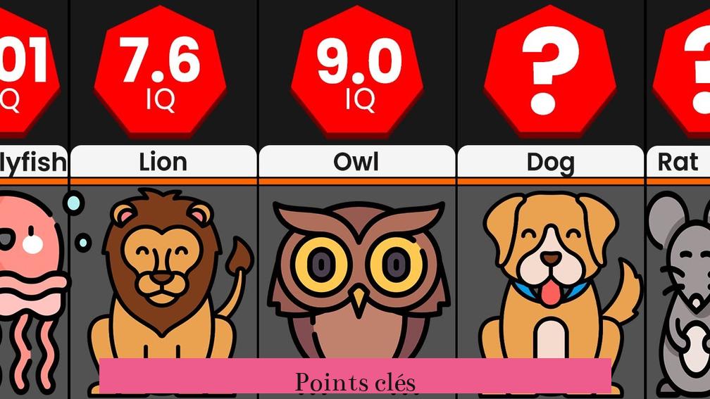 Points clés