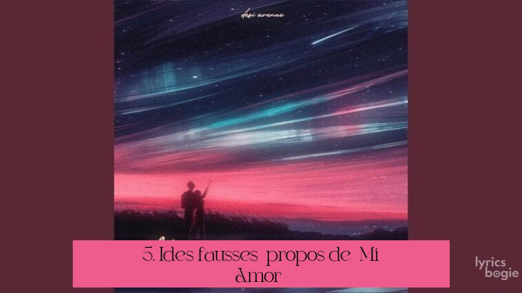 5. Idées fausses à propos de « Mi Amor »