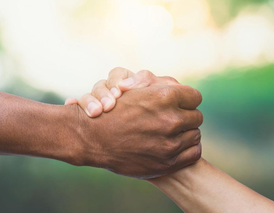 Sensibilisation et engagement écologique : un don pour la planète