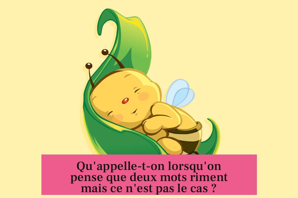Qu'appelle-t-on lorsqu'on pense que deux mots riment mais ce n'est pas le cas ?