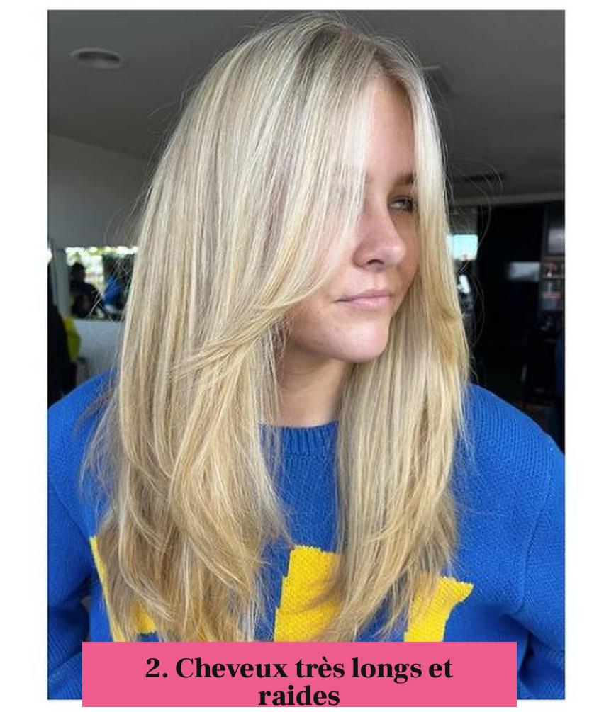 2. Cheveux très longs et raides