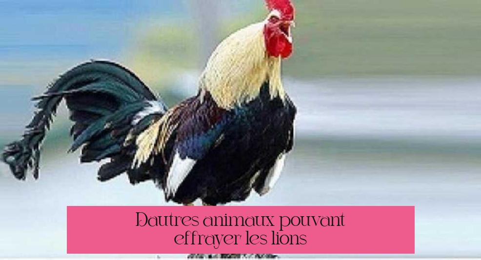 D’autres animaux pouvant effrayer les lions