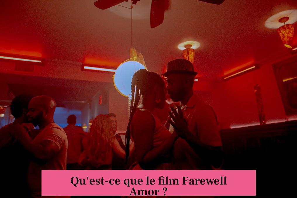 Qu'est-ce que le film Farewell Amor ?