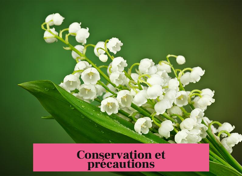 Conservation et précautions