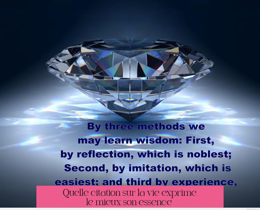 Quelle citation sur la vie exprime le mieux son essence ?