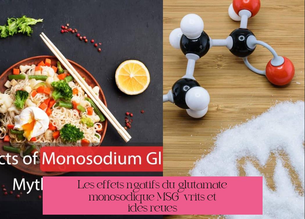 Les effets négatifs du glutamate monosodique (MSG) : vérités et idées reçues