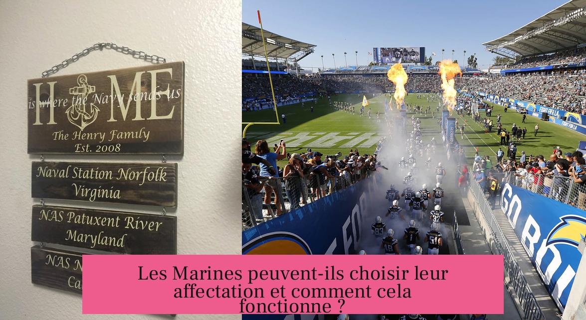 Les Marines peuvent-ils choisir leur affectation et comment cela fonctionne ?
