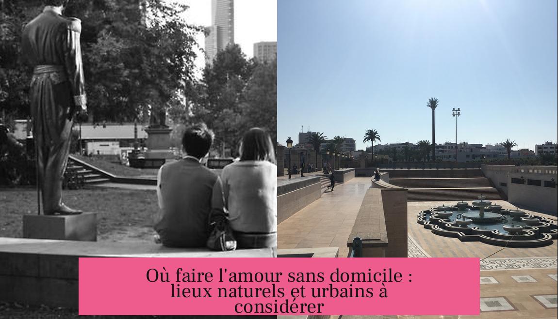 Où faire l'amour sans domicile : lieux naturels et urbains à considérer