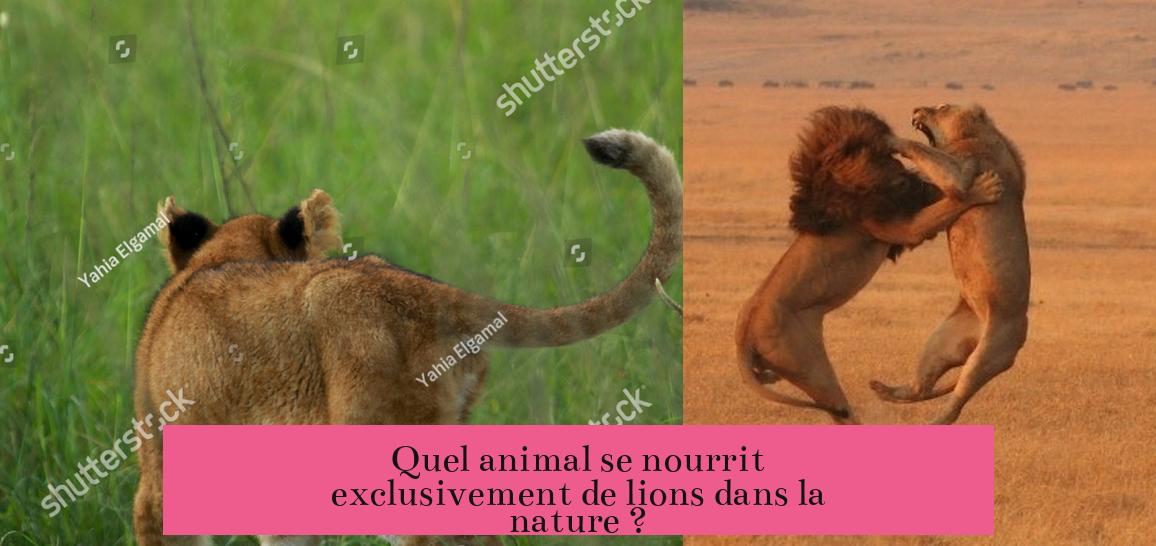 Quel animal se nourrit exclusivement de lions dans la nature ?