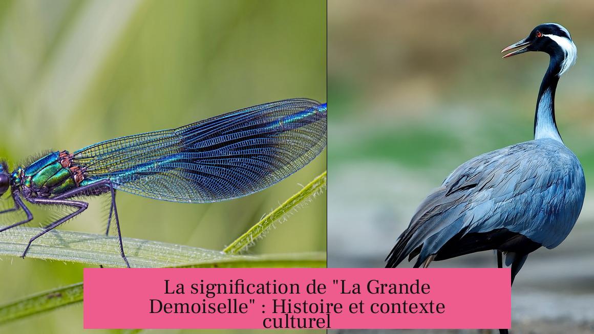 La signification de "La Grande Demoiselle" : Histoire et contexte culturel