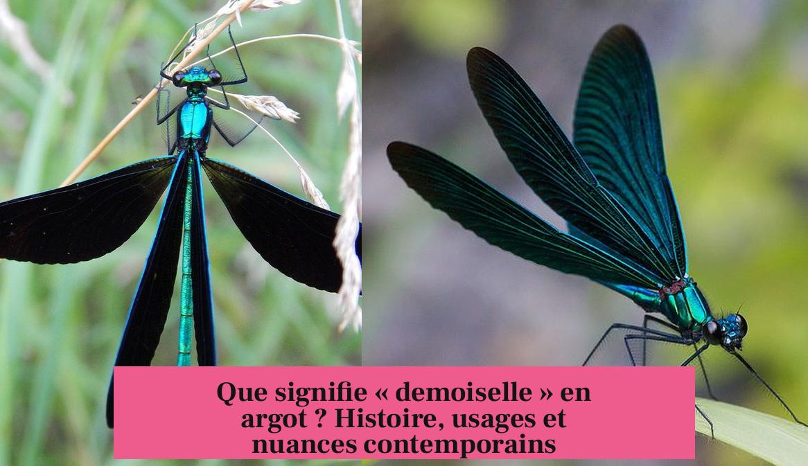 Que signifie « demoiselle » en argot ? Histoire, usages et nuances contemporains
