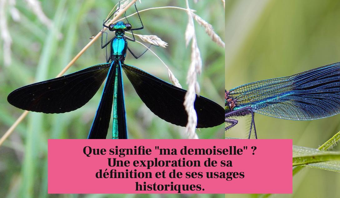 Que signifie "ma demoiselle" ? Une exploration de sa définition et de ses usages historiques.