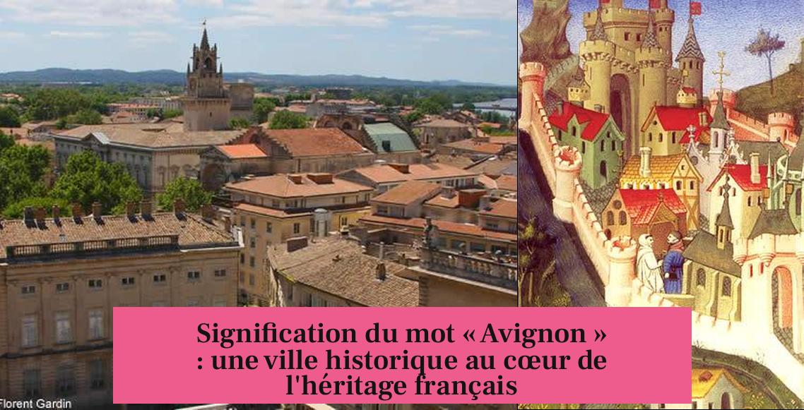 Signification du mot « Avignon » : une ville historique au cœur de l'héritage français