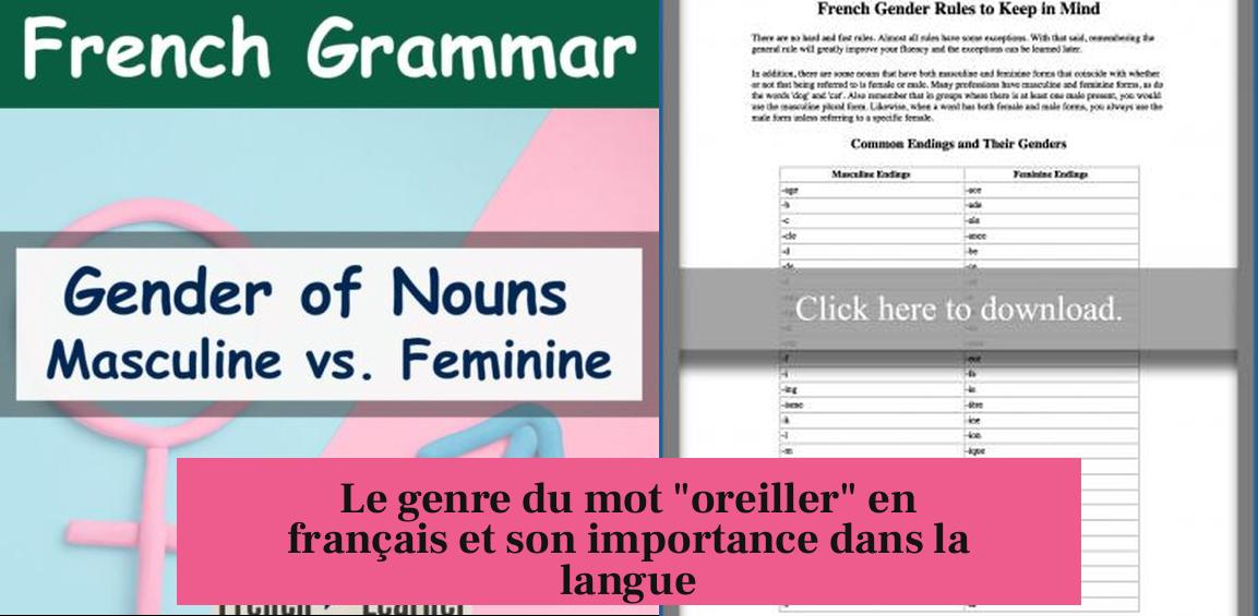 Le genre du mot "oreiller" en français et son importance dans la langue