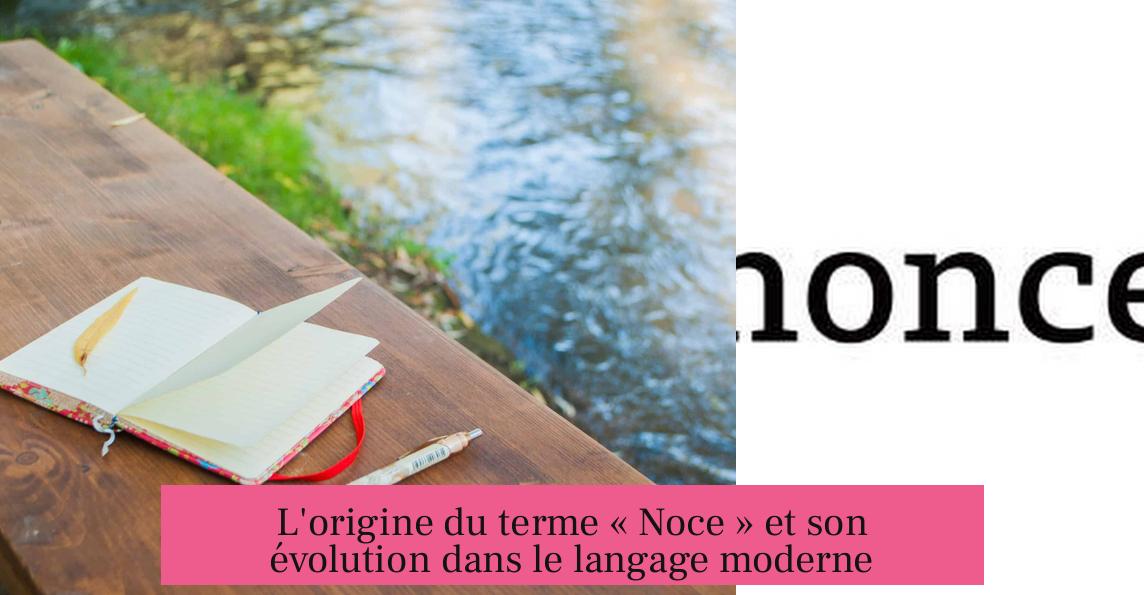 L'origine du terme « Noce » et son évolution dans le langage moderne
