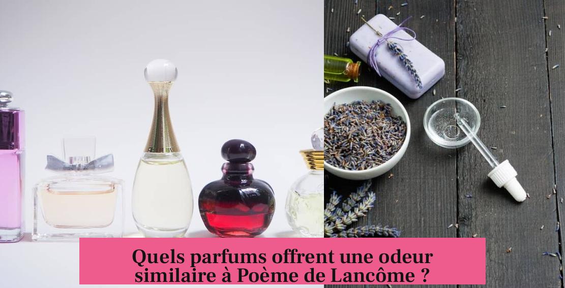 Quels parfums offrent une odeur similaire à Poème de Lancôme ?