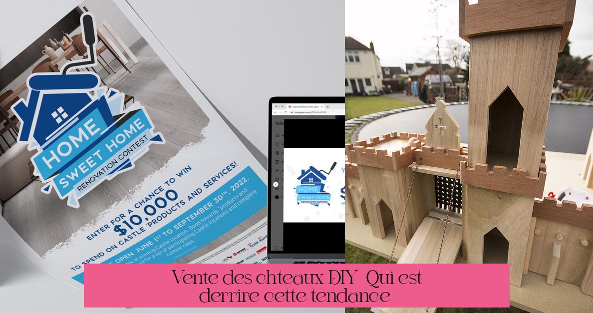 Vente des châteaux DIY : Qui est derrière cette tendance ?